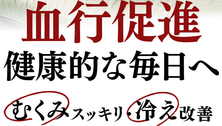 血行促進 健康的な毎日へ