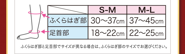 サイズ表