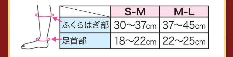 サイズ表