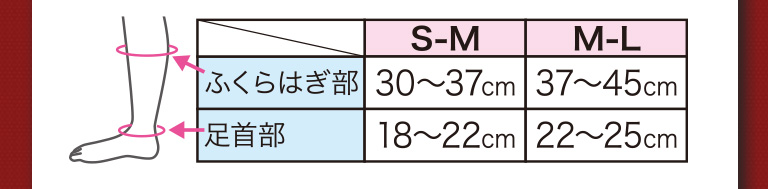 サイズ表