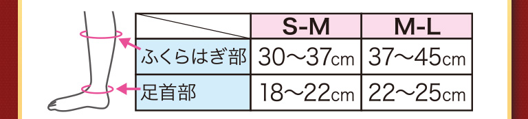 サイズ表