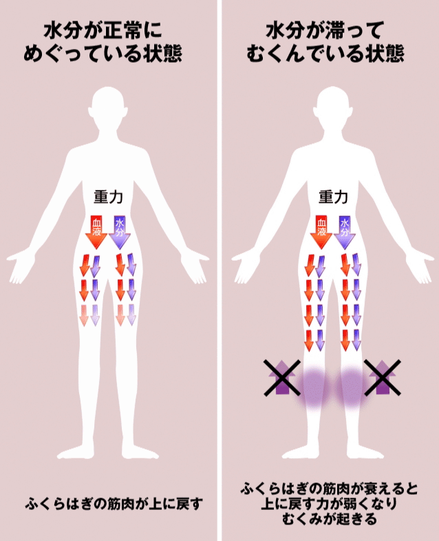 比較